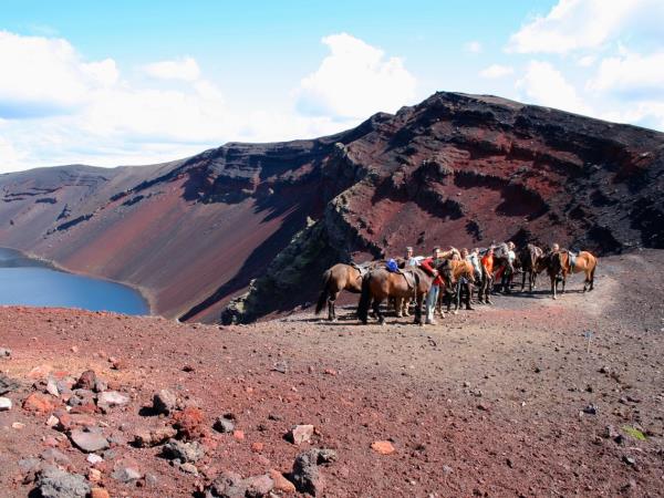 Iceland self drive vacation, whale watching & horse riding