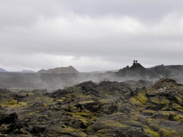 Iceland self drive vacation, whale watching & horse riding