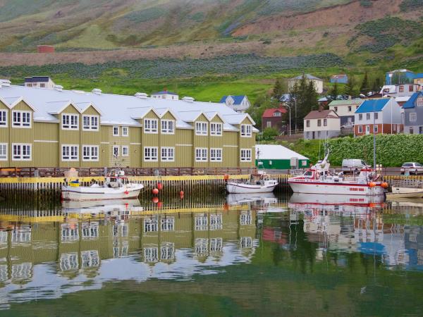 Iceland self drive vacation, whale watching & horse riding