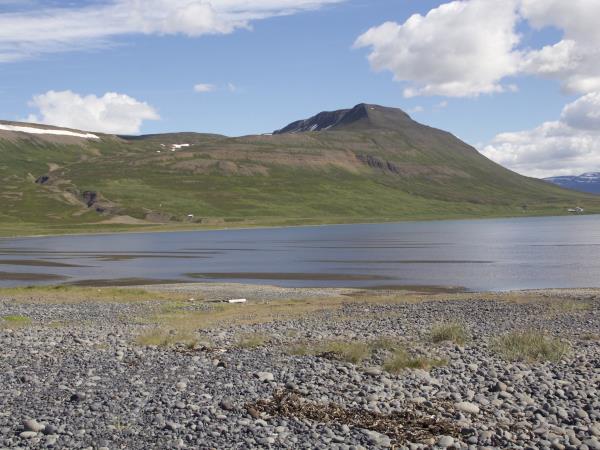 Iceland self drive vacation, whale watching & horse riding