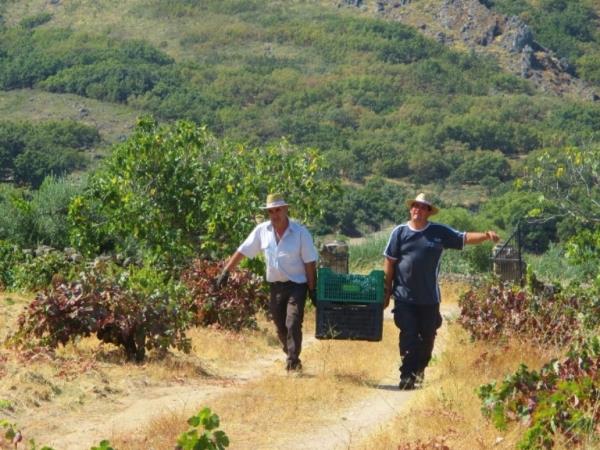 Rural accommodation with pool in Spain, sleeps 2