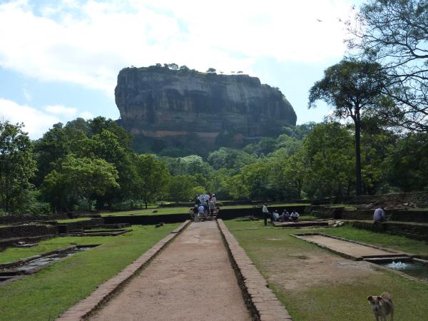 Family vacation in Sri Lanka, Forts & Monkeys