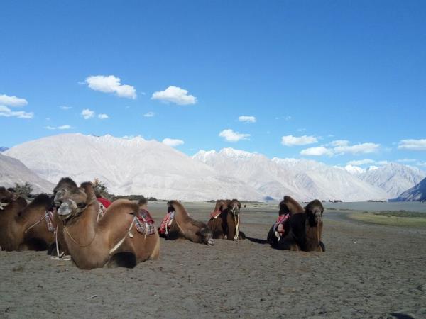 Nubra Valley Trek in Ladakh, India