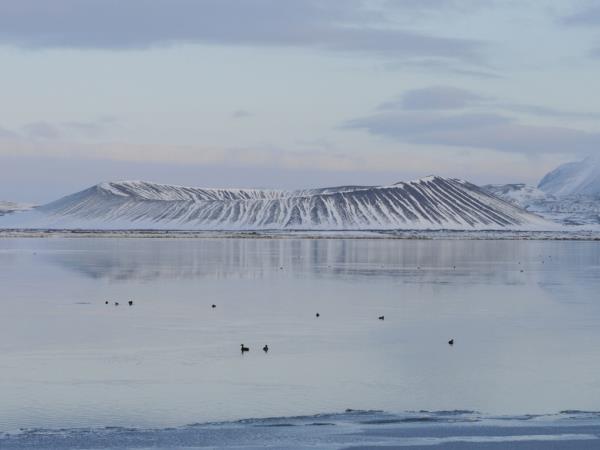 Iceland northern lights and snowshoeing vacation
