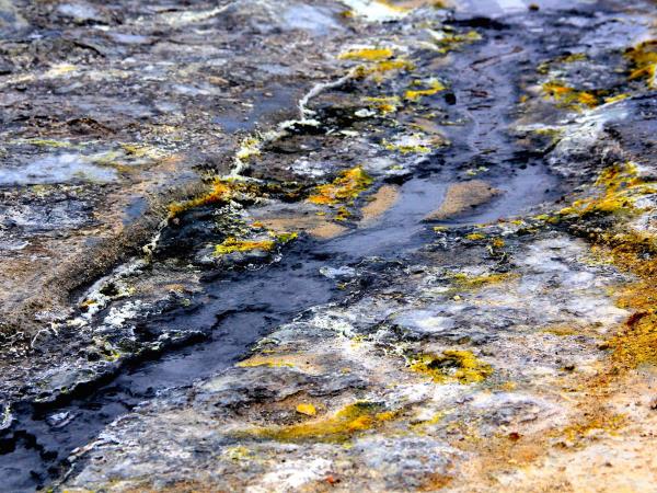 Wellbeing vacation in North Iceland