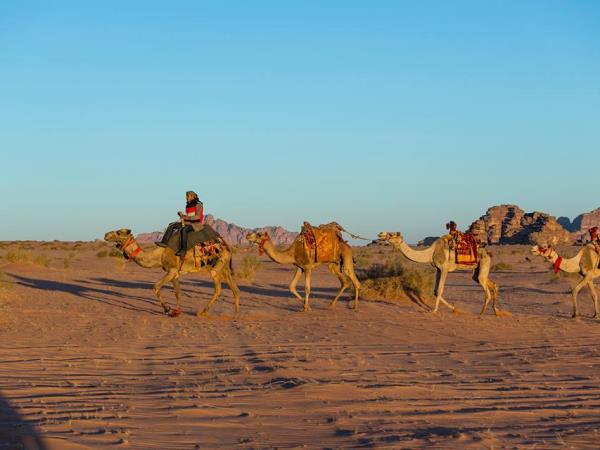 Jordan highlights & camel safari