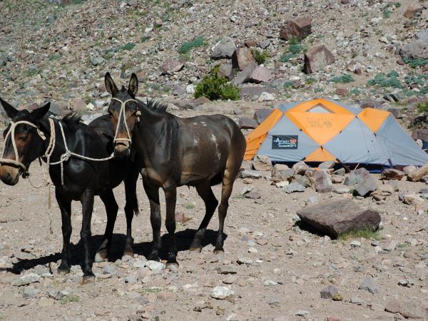 Climb Aconcagua, Argentina