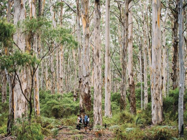 Western Australia tour, 6 days