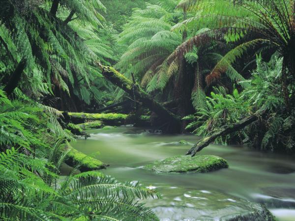 Melbourne to Adelaide 3 day tour, Australia