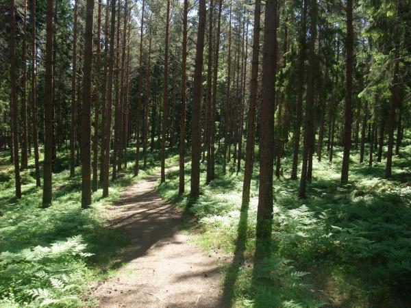 Sweden hiking vacation, self guided