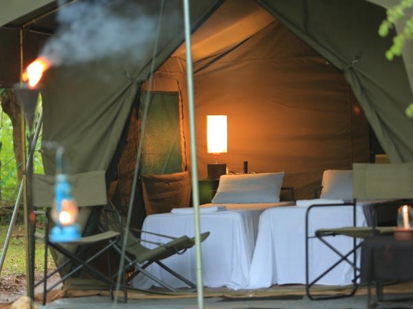 Sri Lanka wildlife holiday, the big five