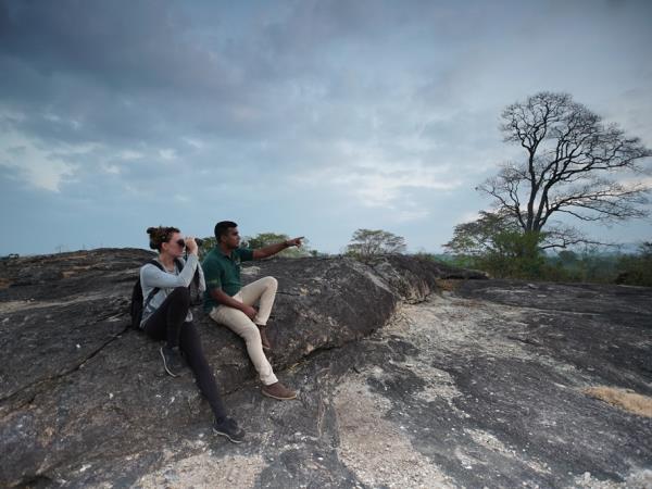 Sri Lanka wildlife holiday, the big five