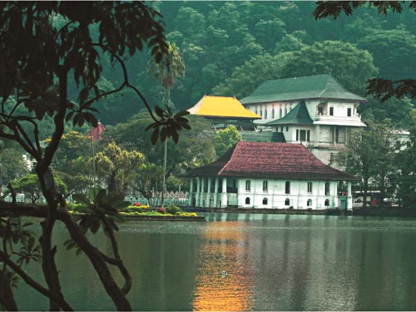 Honeymoon in Sri Lanka