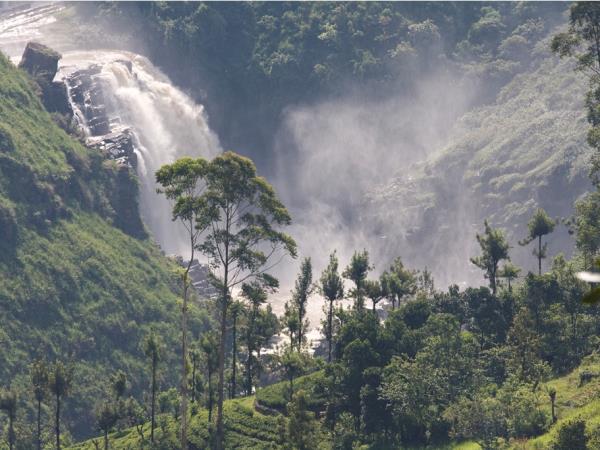 Honeymoon in Sri Lanka