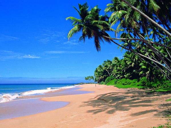 Sri Lanka tailor made tour, culture & nature