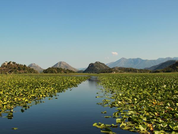 Canoeing and kayaking vacation in Montenegro, Lake Skadar