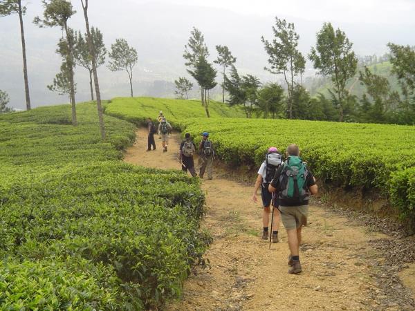 Sri Lanka trekking holiday