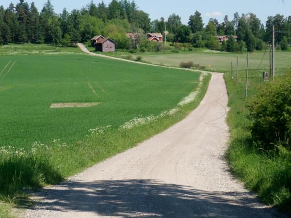 Sweden self guided cycling vacation