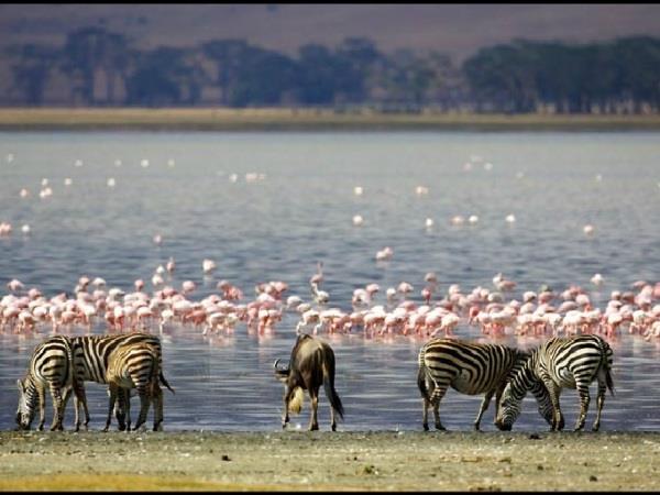 Kenya and Tanzania classic tailor made vacation