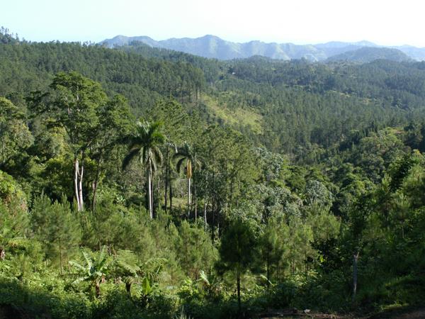 Active Cuba vacation, tailor made