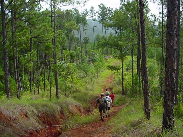 Active Cuba vacation, tailor made