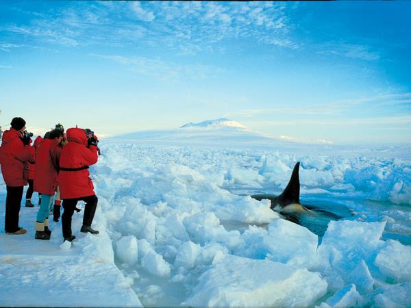 Antarctica Peninsula cruise