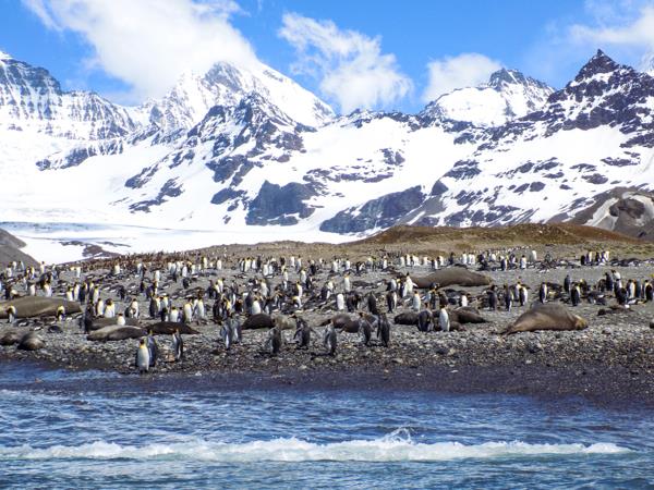 Antarctica Peninsula cruise