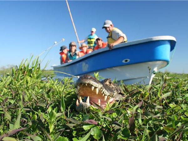 Argentina wildlife vacation, wetlands & Patagonia