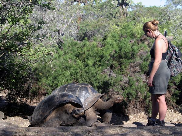 Peru and Galapagos vacation