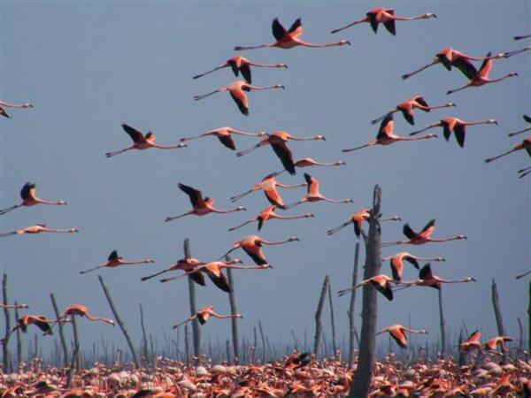 Eastern Cuba self drive vacation