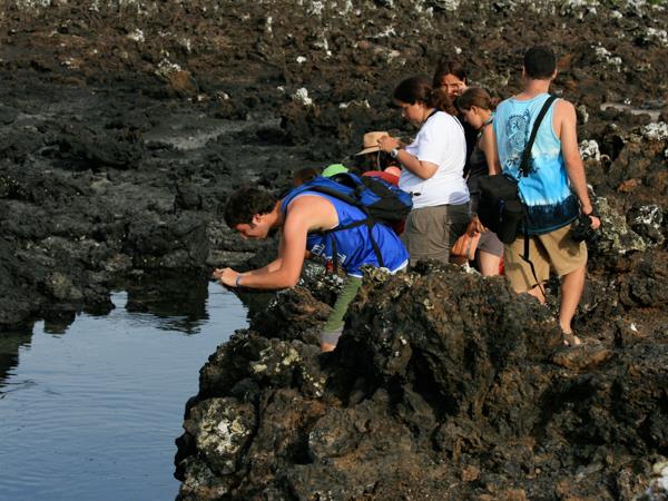Galapagos Islands cruise, on a shoestring