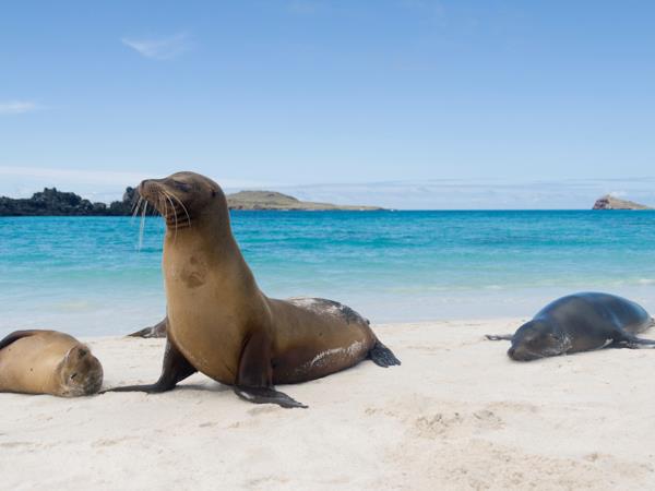 Luxury Galapagos Islands cruise