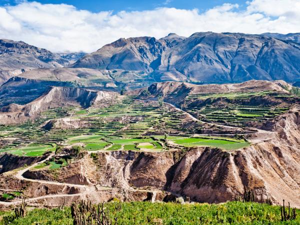 Family vacation to Peru, tailor made