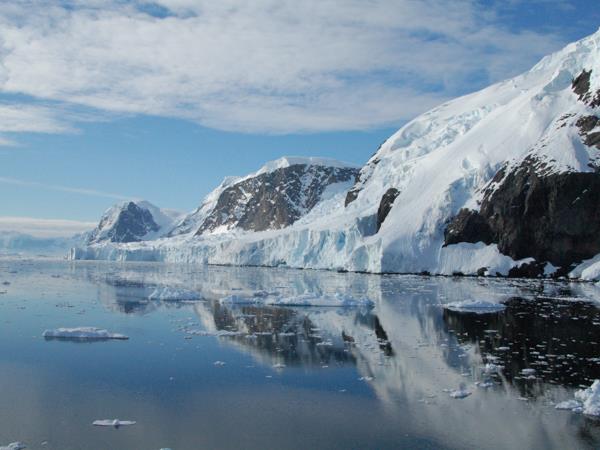 Antarctica Peninsula, Falklands & South Georgia wildlife vacation