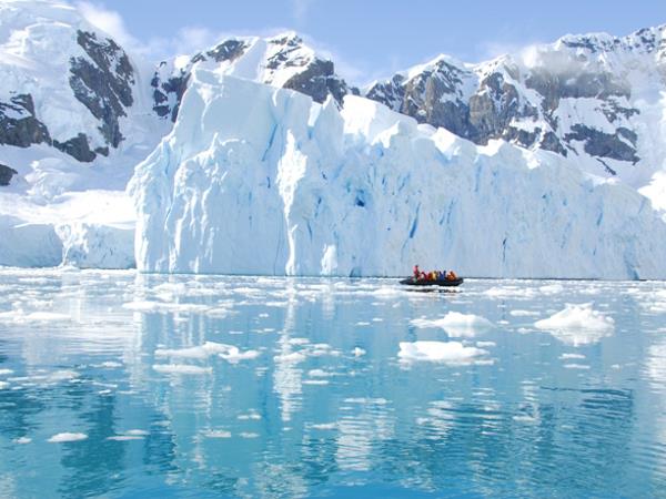 Antarctica Peninsula, Falklands & South Georgia wildlife vacation