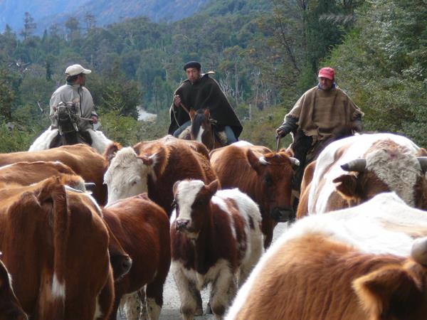 Patagonia small group vacation, off the beaten track