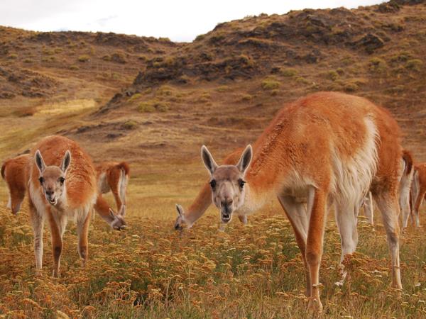 Patagonia small group vacation, off the beaten track