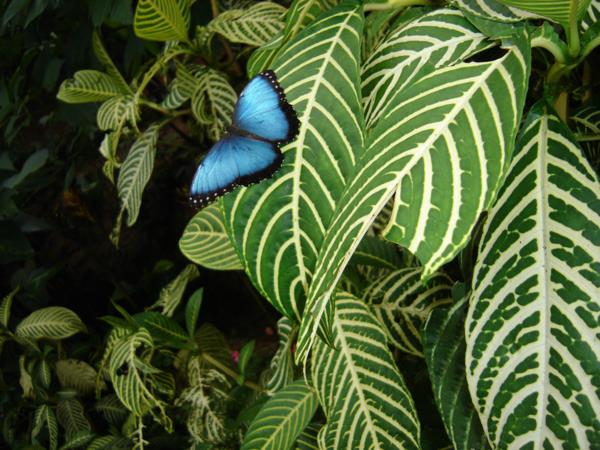 Costa Rica vacation, natural highlights