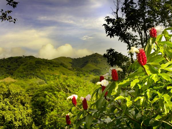 Costa Rica vacation, natural highlights