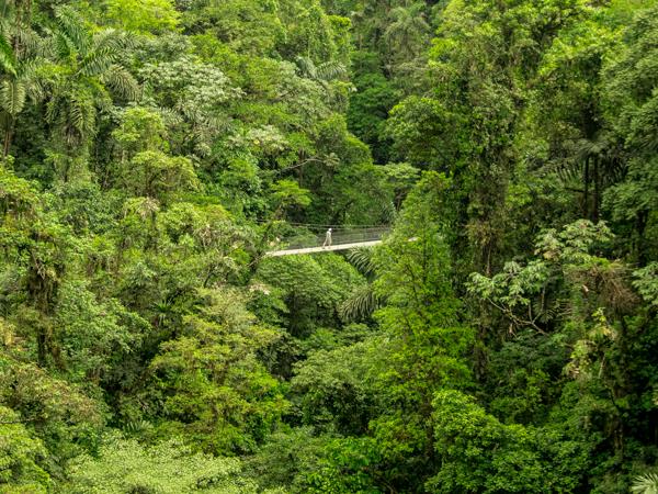 Costa Rica vacation, natural highlights