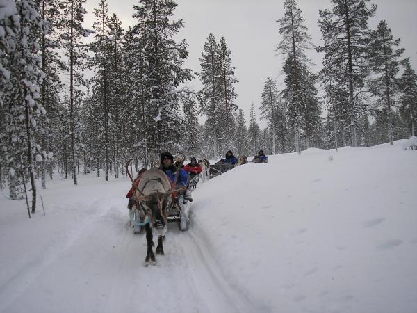 Tailor made vacation in Lapland
