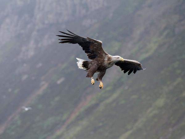 Hebrides cruise, The Sounds of Mull, Luing, Shuna and Jura