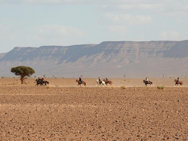 Sahara desert horse riding vacation