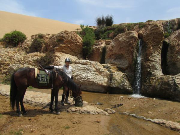 Sahara desert horse riding vacation