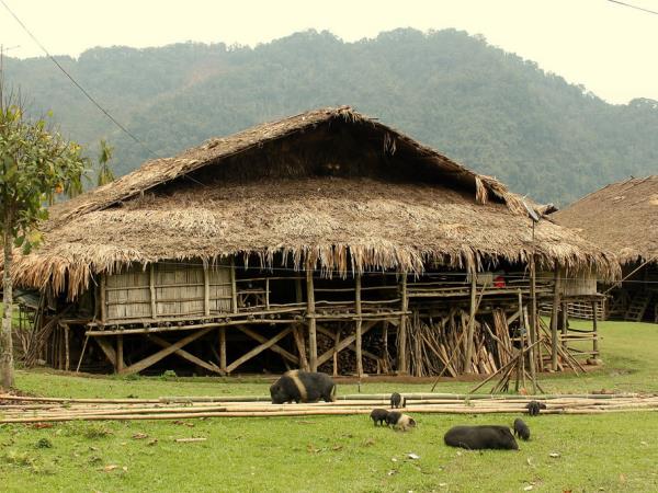 Tribal festival holiday in India