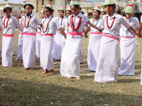 Tribal festival holiday in India