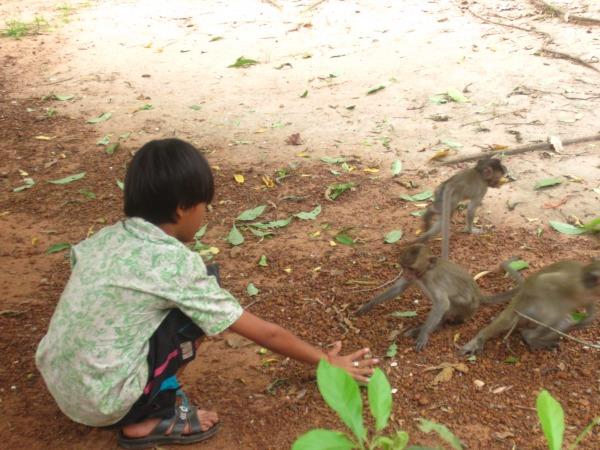 Cambodia vacation, ancient ruins and beaches