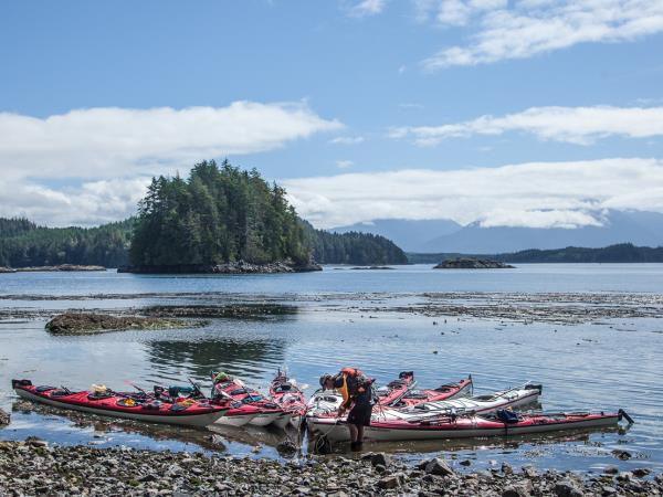 Kayak with orcas vacation in Canada