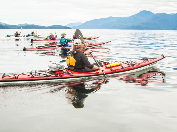 Kayak with orcas vacation in Canada