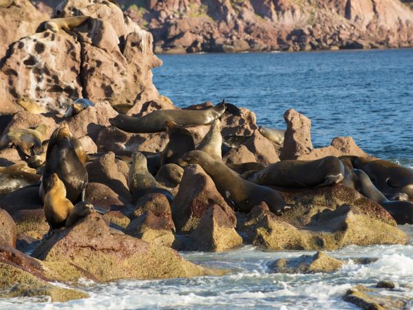Baja sea kayak adventure in Mexico